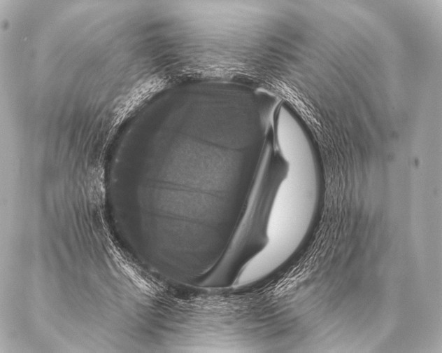 X0000087020634200705141857