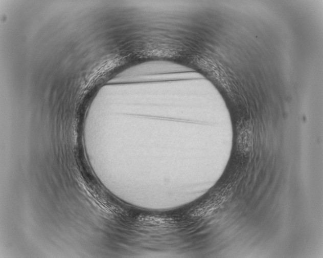 X0000087020635200705141857