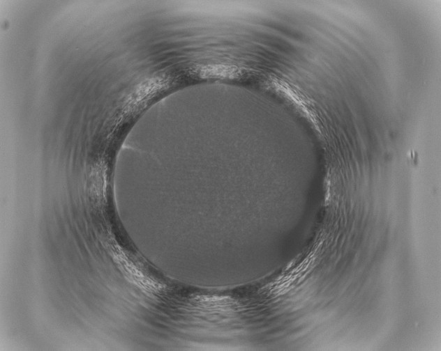 X0000087020637200705141857