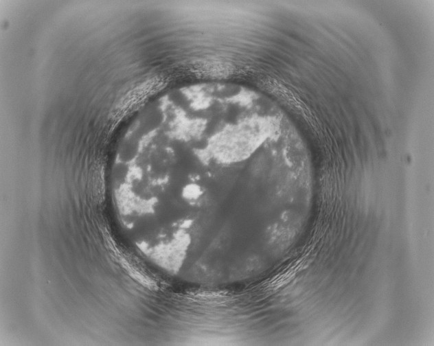 X0000087020638200705141857