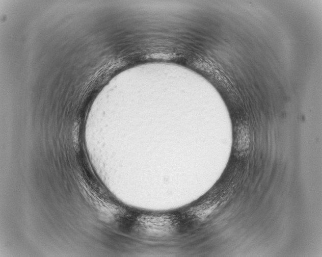 X0000087020639200705141857