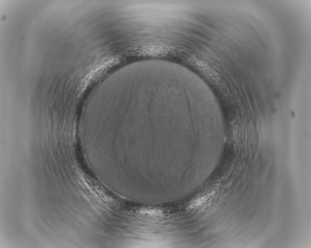 X0000087020640200705141857