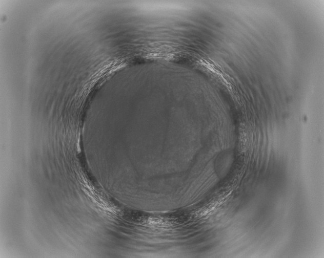 X0000087020641200705141857