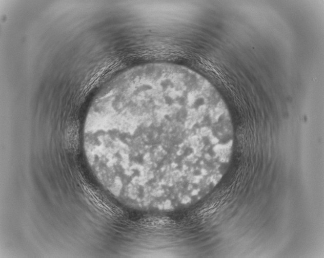 X0000087020642200705141857