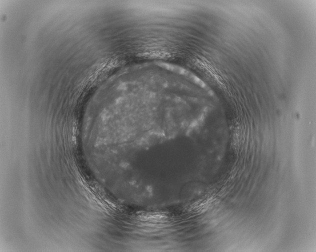 X0000087020643200705141857