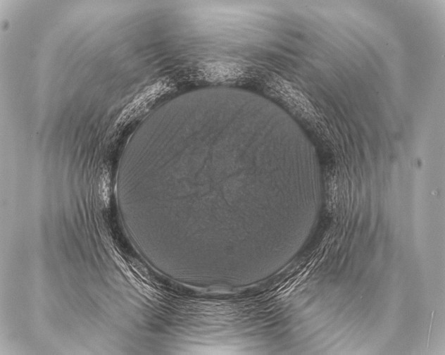 X0000087020644200705141857