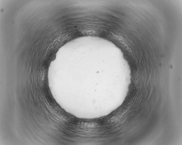 X0000087020645200705141857