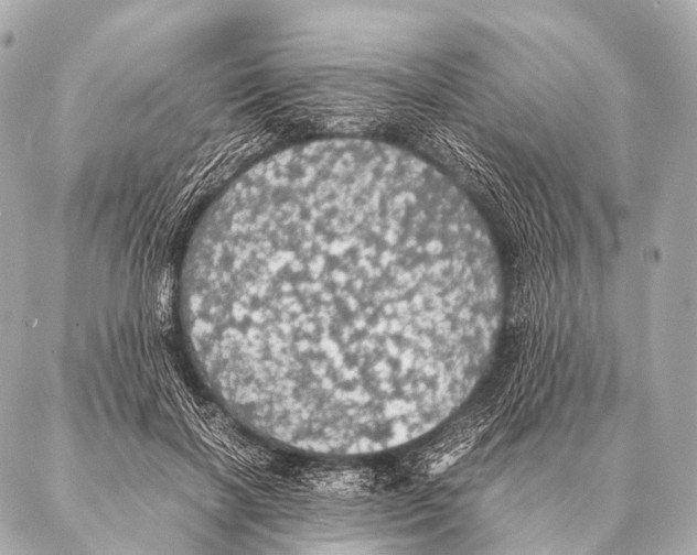 X0000087020646200705141857