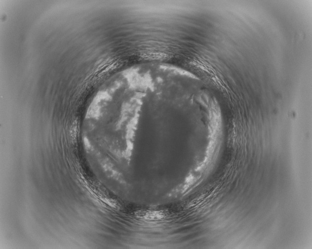 X0000087020647200705141857