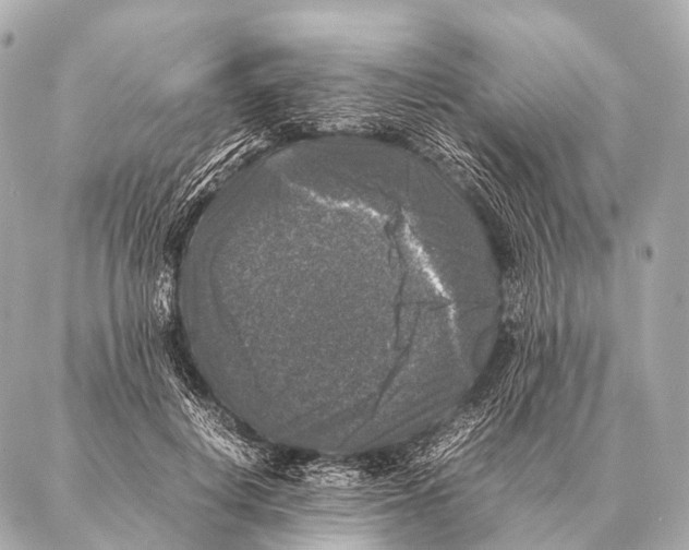 X0000087020648200705141857