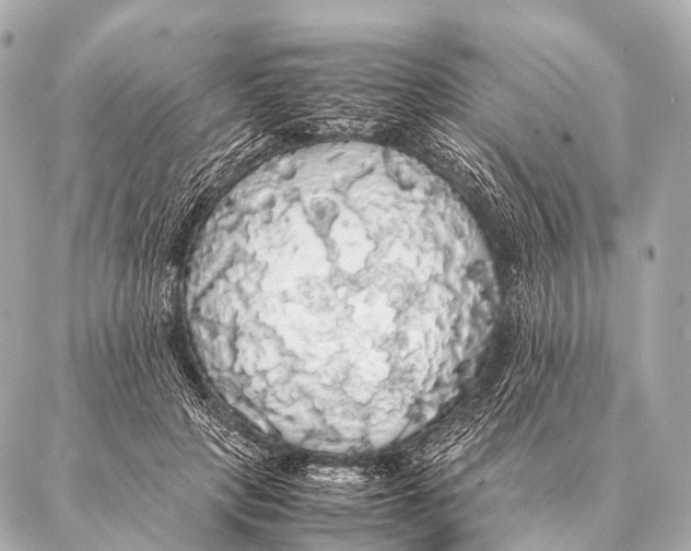 X0000087020649200705141857