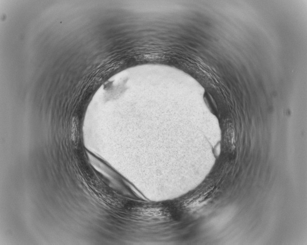 X0000087020651200705141857