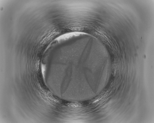 X0000087020652200705141857