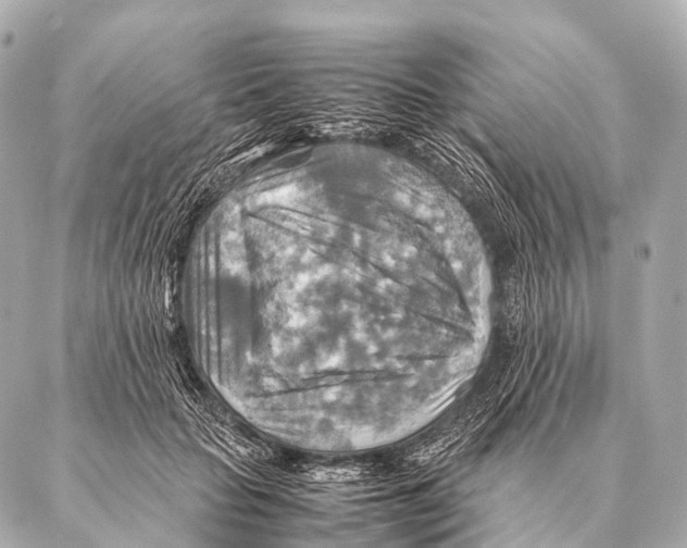 X0000087020653200705141857