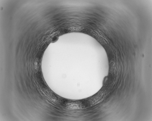 X0000087020655200705141857