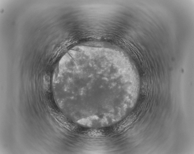 X0000087020656200705141858