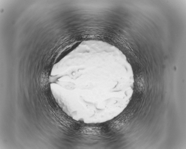 X0000087020657200705141858