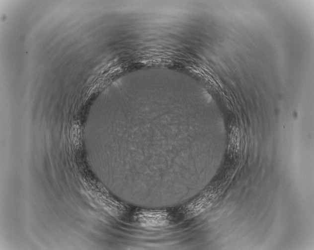 X0000087020659200705141858