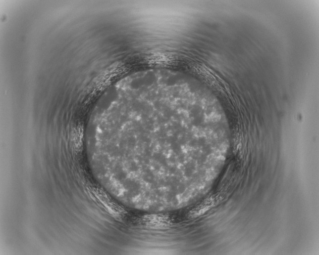 X0000087020660200705141858