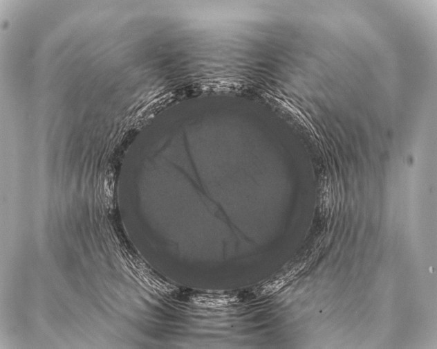 X0000087020661200705141858