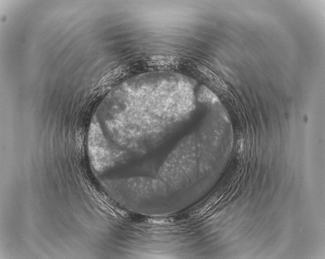 X0000087020662200705141858