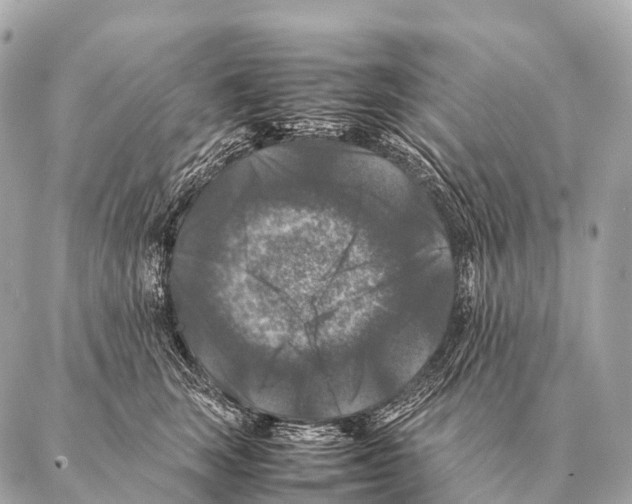 X0000087020663200705141858