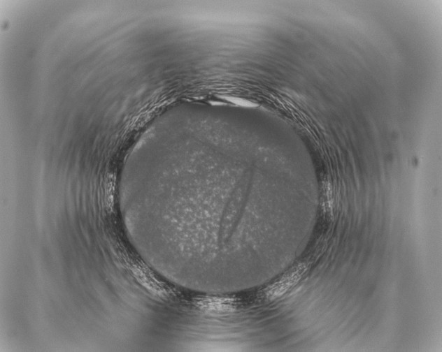 X0000087020664200705141858