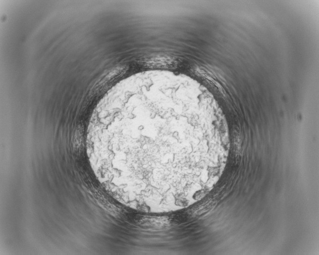 X0000087020665200705141858