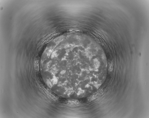 X0000087020666200705141858