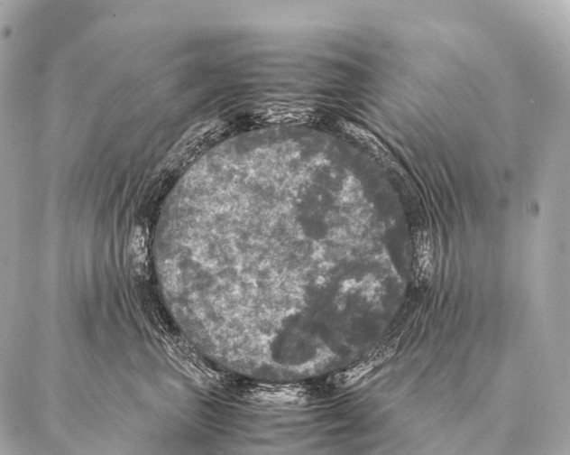 X0000087020667200705141858