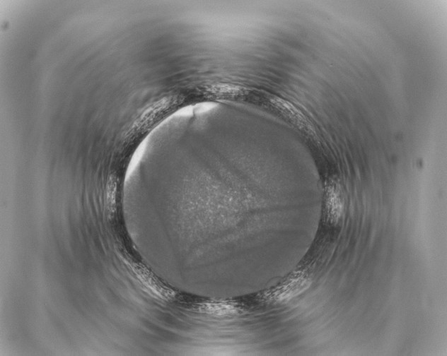 X0000087020668200705141858