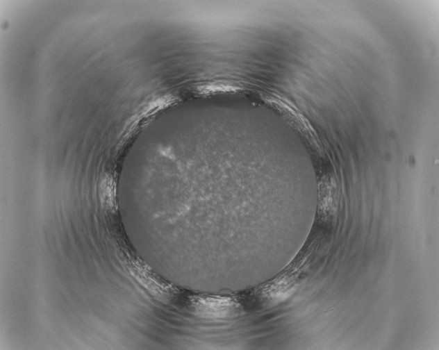 X0000087020669200705141858