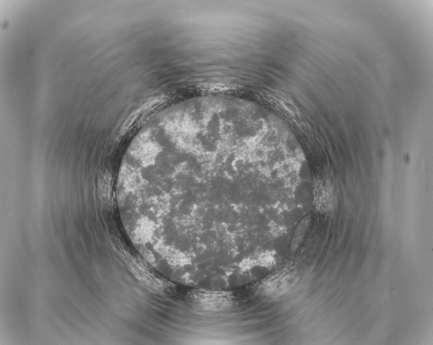 X0000087020670200705141858