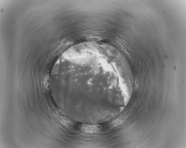 X0000087020671200705141858