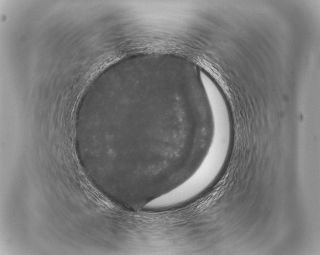 X0000087020673200705141857