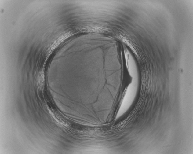 X0000087020674200705141857