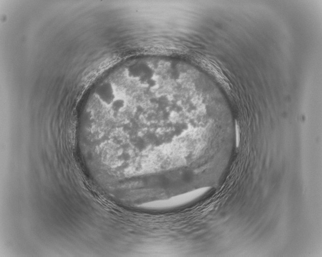 X0000087020675200705141857