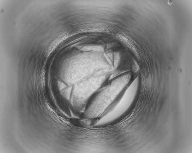 X0000087020676200705141857