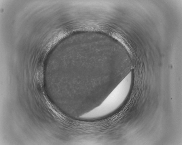 X0000087020677200705141857