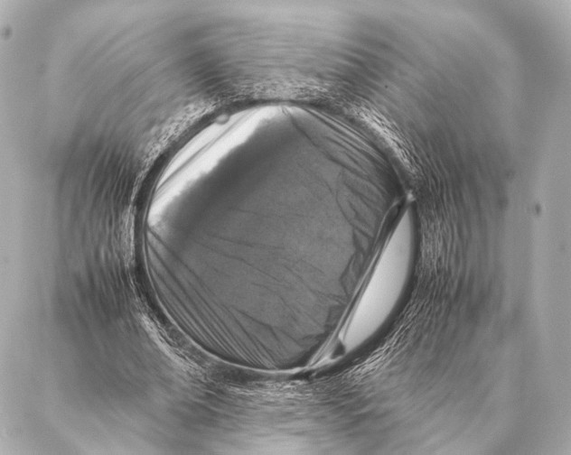 X0000087020678200705141857