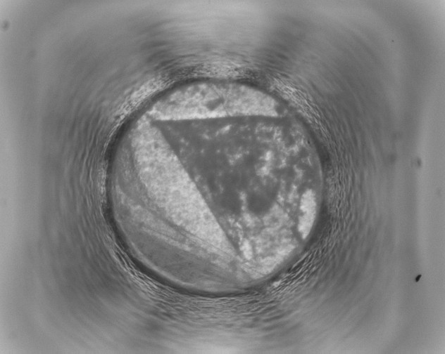 X0000087020679200705141857