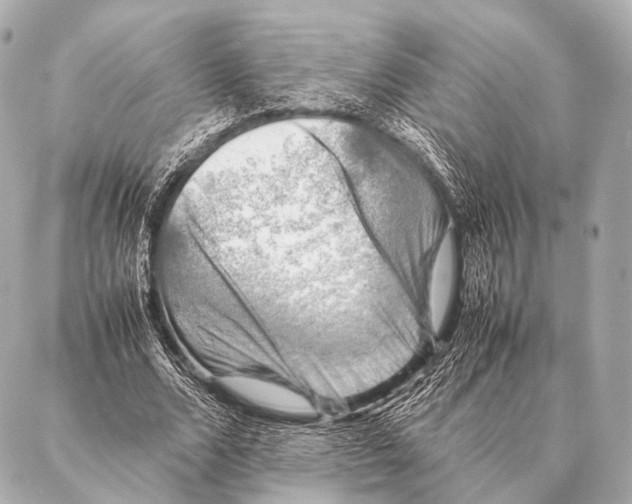 X0000087020680200705141857