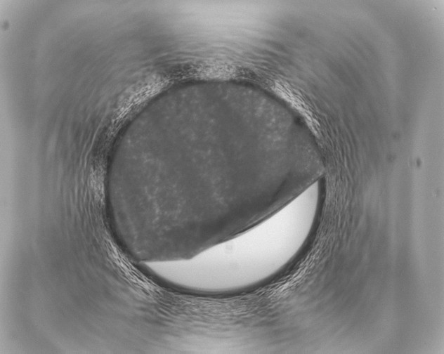 X0000087020681200705141857