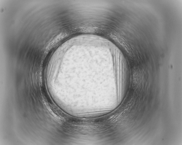 X0000087020682200705141857