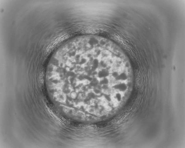 X0000087020683200705141857