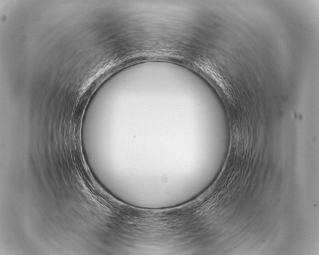 X0000087020684200705141857