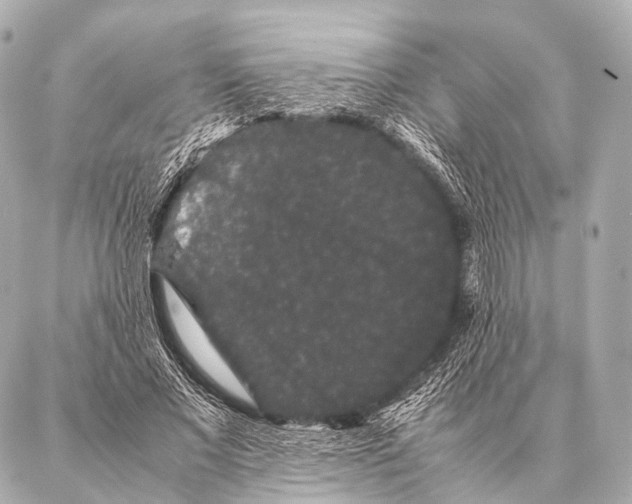 X0000087020685200705141857