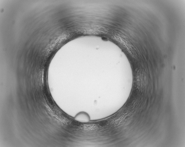 X0000087020686200705141857