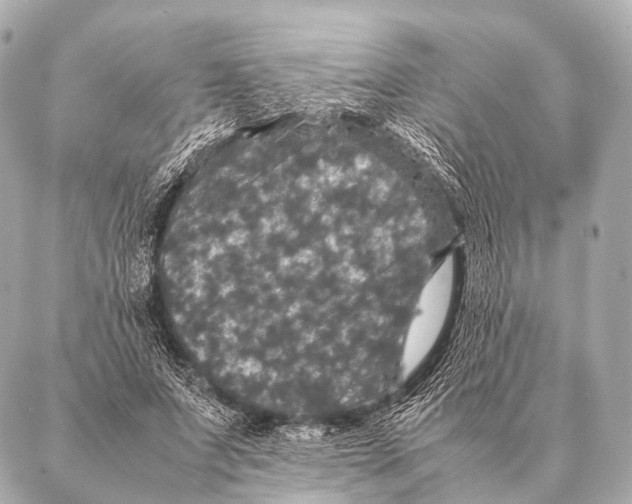 X0000087020687200705141857