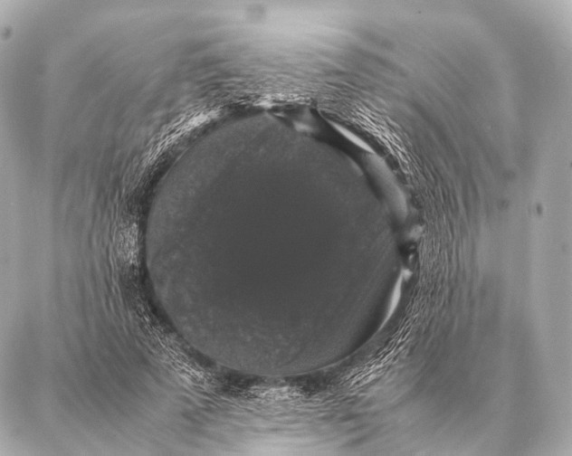 X0000087020689200705141857